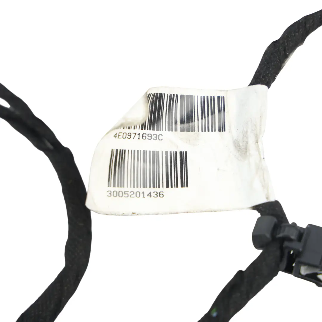 Audi A6 C7 4G Câblage Porte Arrière Faisceau Câble Gauche Droite - SKU 4E0971693C - Numéro de pièce 4E0971693C