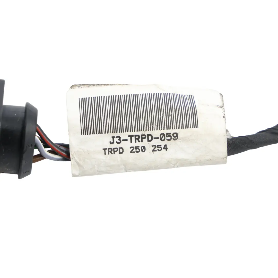 Seat Ibiza 6J Rücklicht Kabelbaum Stecker Rechts - SKU 6J3945096P-2 - Teilenummer 6J3945096P