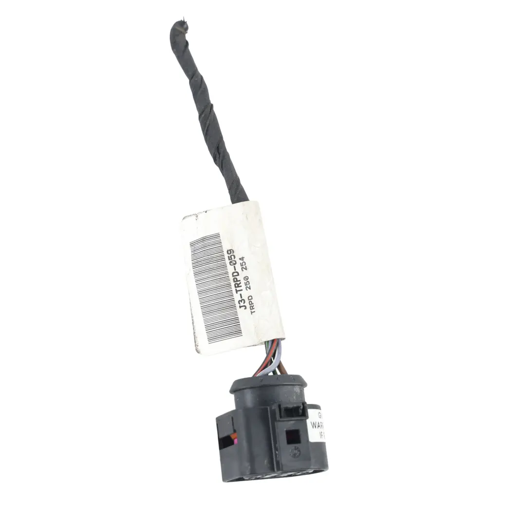 Seat Ibiza 6J Cableado Luz Trasera Piloto Derecho - SKU 6J3945096P-2 - Número de pieza 6J3945096P