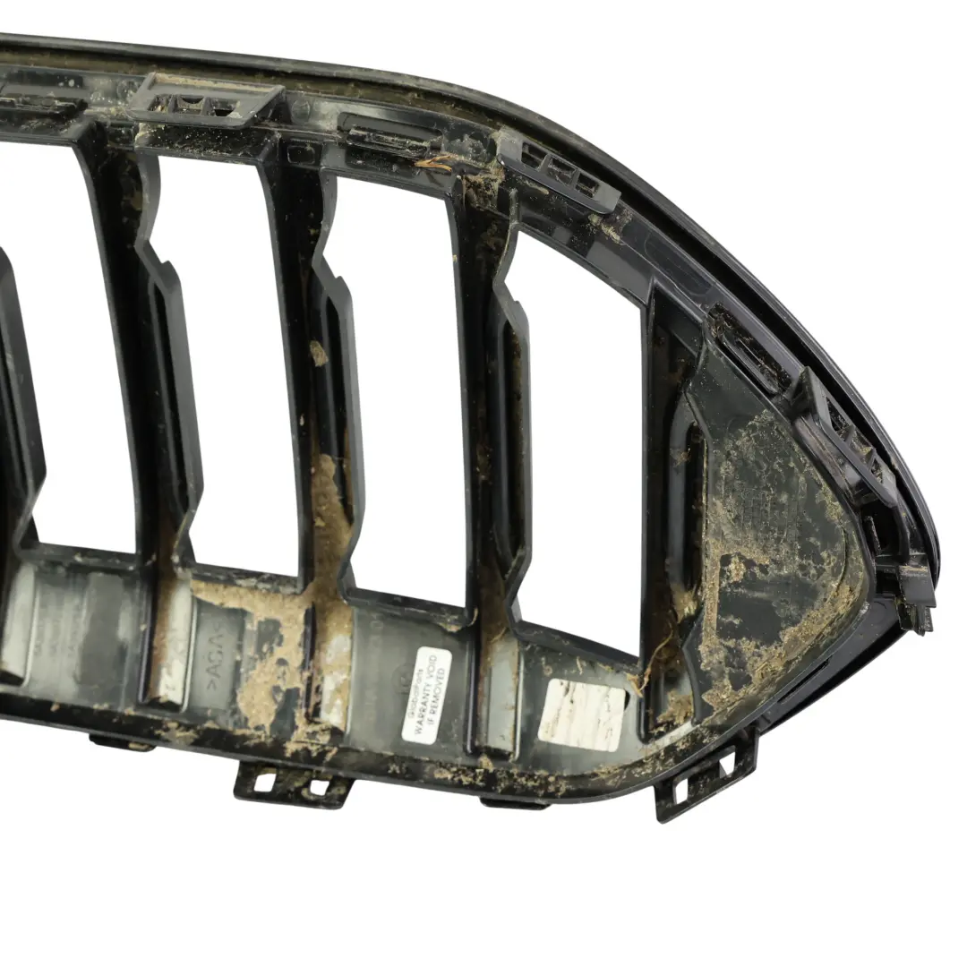 Front Bumper Radiator Centre Kidney Grille Trim Panel Cover to BMW F44 with Part number 7077395 BMW F44 Front Bumper Radiator Centre Kidney Grille Trim Panel Cover - SKU 7077395 - Part number 7077395