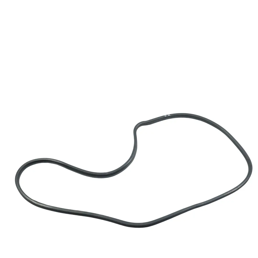 BMW X5 E70 Front Door Protection Rubber Seal Sealing Gasket Right O/S - SKU 7234930 - Part number 7234930