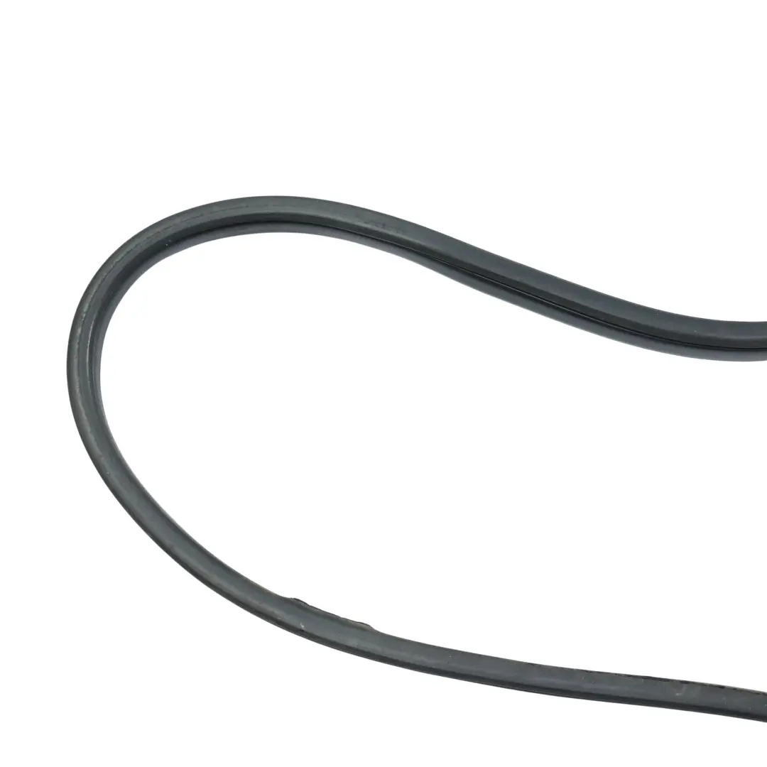 BMW X5 E70 Guarnizione Gomma Protezione Porta Anteriore Destra - SKU 7234930 - Numero di parte 7234930