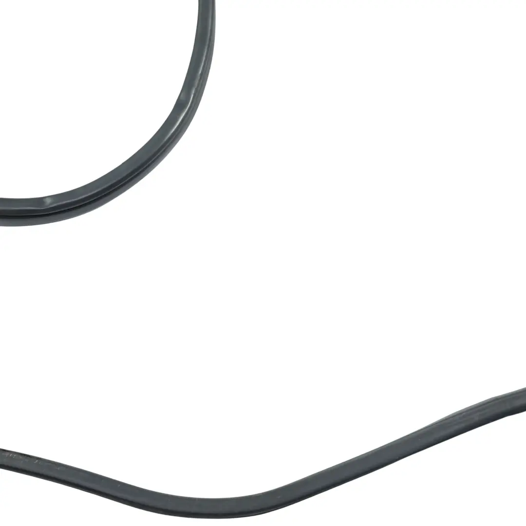 BMW X5 E70 Front Door Protection Rubber Seal Sealing Gasket Right O/S - SKU 7234930 - Part number 7234930