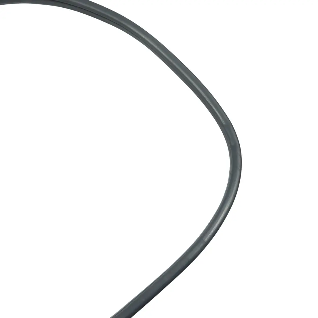 BMW X5 E70 Front Door Protection Rubber Seal Sealing Gasket Right O/S - SKU 7234930 - Part number 7234930