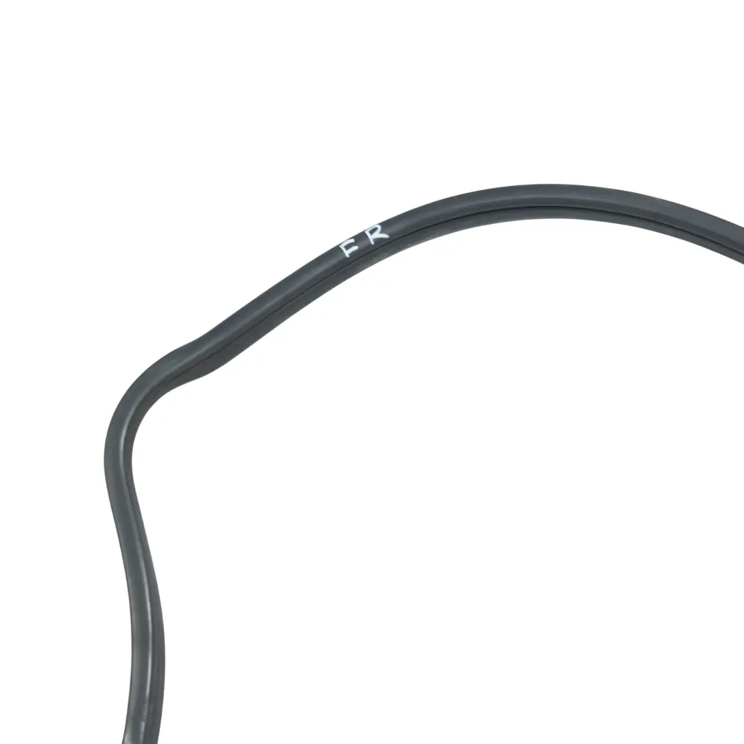 Guarnizione Gomma Protezione Porta Anteriore Destra per BMW X5 E70 con numero di parte 7234930 BMW X5 E70 Guarnizione Gomma Protezione Porta Anteriore Destra - SKU 7234930 - Numero di parte 7234930