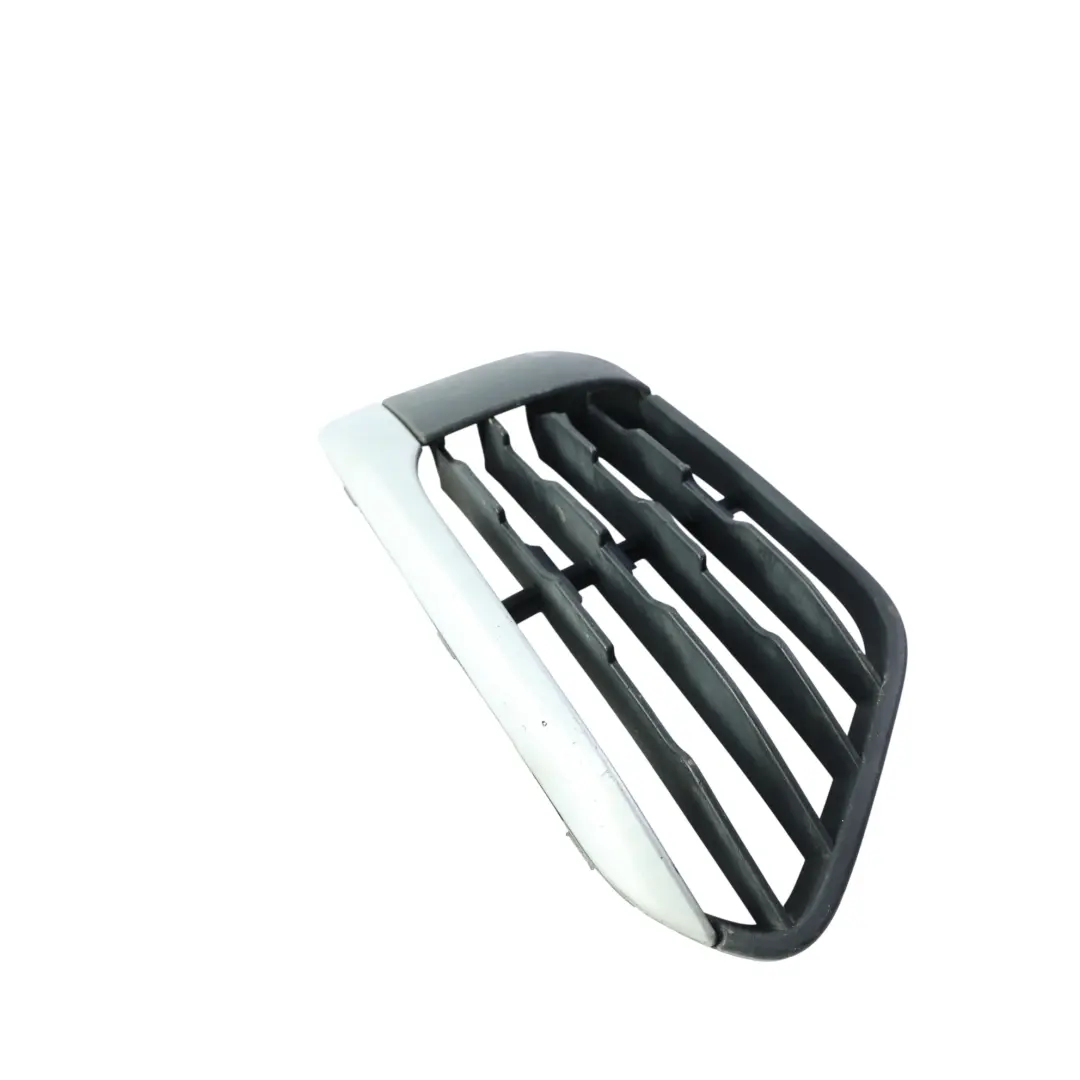 BMW X1 F48 Front Bumper Fog Light Trim Grid Grille Cover Insert Left N/S - SKU 7354777-1 - Part number 7354777