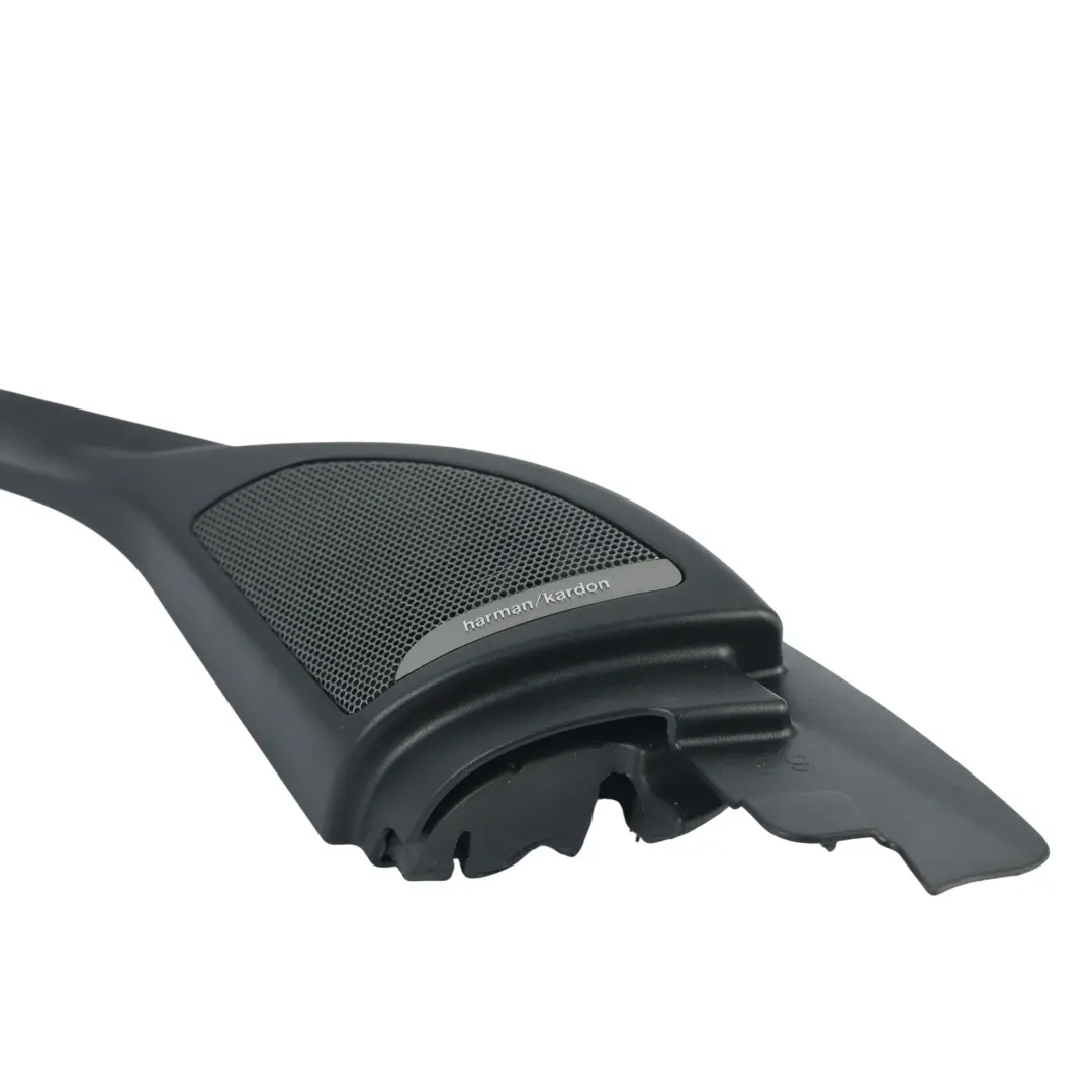 Moldura Interior Puerta Delantera Izquierda para BMW F39 con número de pieza 7420859 BMW F39 Moldura Interior Puerta Delantera Izquierda - SKU 7420859 - Número de pieza 7420859