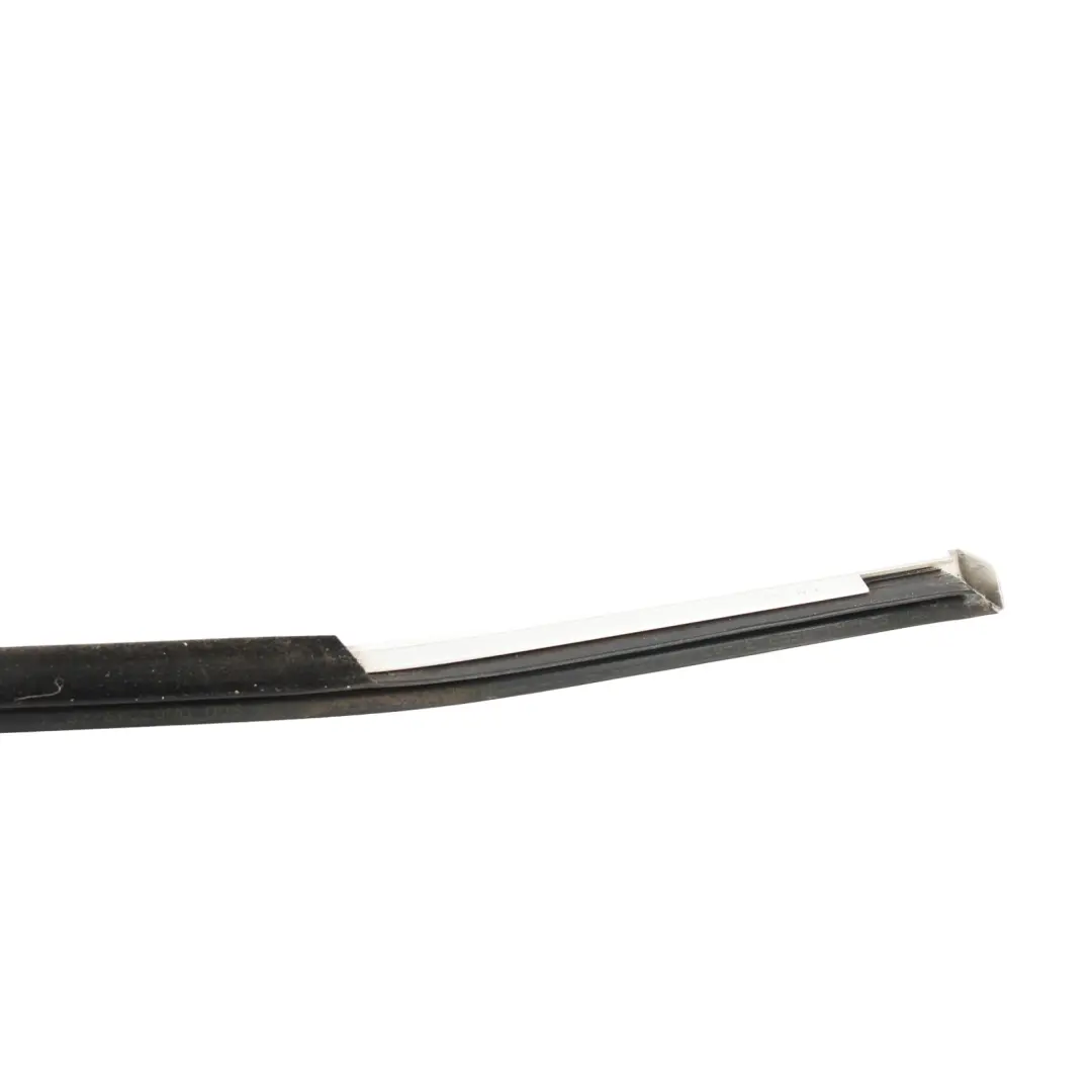 Outer Lower Door Window Trim Strip Left N/S Aluminium to BMW X6 E71 E72 with Part number 8035549 BMW X6 E71 E72 Outer Lower Door Window Trim Strip Left N/S Aluminium - SKU 8035549 - Part number 8035549