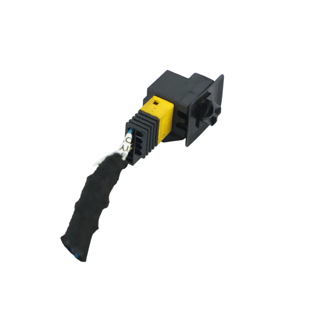 BMW E64 Módulo Unidad Aire Pasajero Mazo Cables - SKU 8373617 - Número de pieza 8373617