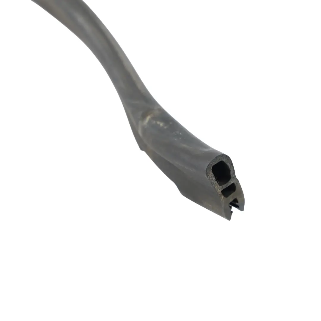 Junta Sellado Capó Compartimento Motor Delantero para Audi A4 B7 con número de pieza 8E0121221 Audi A4 B7 Junta Sellado Capó Compartimento Motor Delantero - SKU 8E0121221-1 - Número de pieza 8E0121221