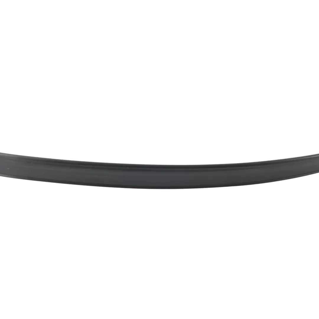 8N Door Window Guide Profile Beltline Seal Left Right N/O/S to Audi TT with Part number 8N0831617 Audi TT 8N Door Window Guide Profile Beltline Seal Left Right N/O/S - SKU 8N0831617 - Part number 8N0831617