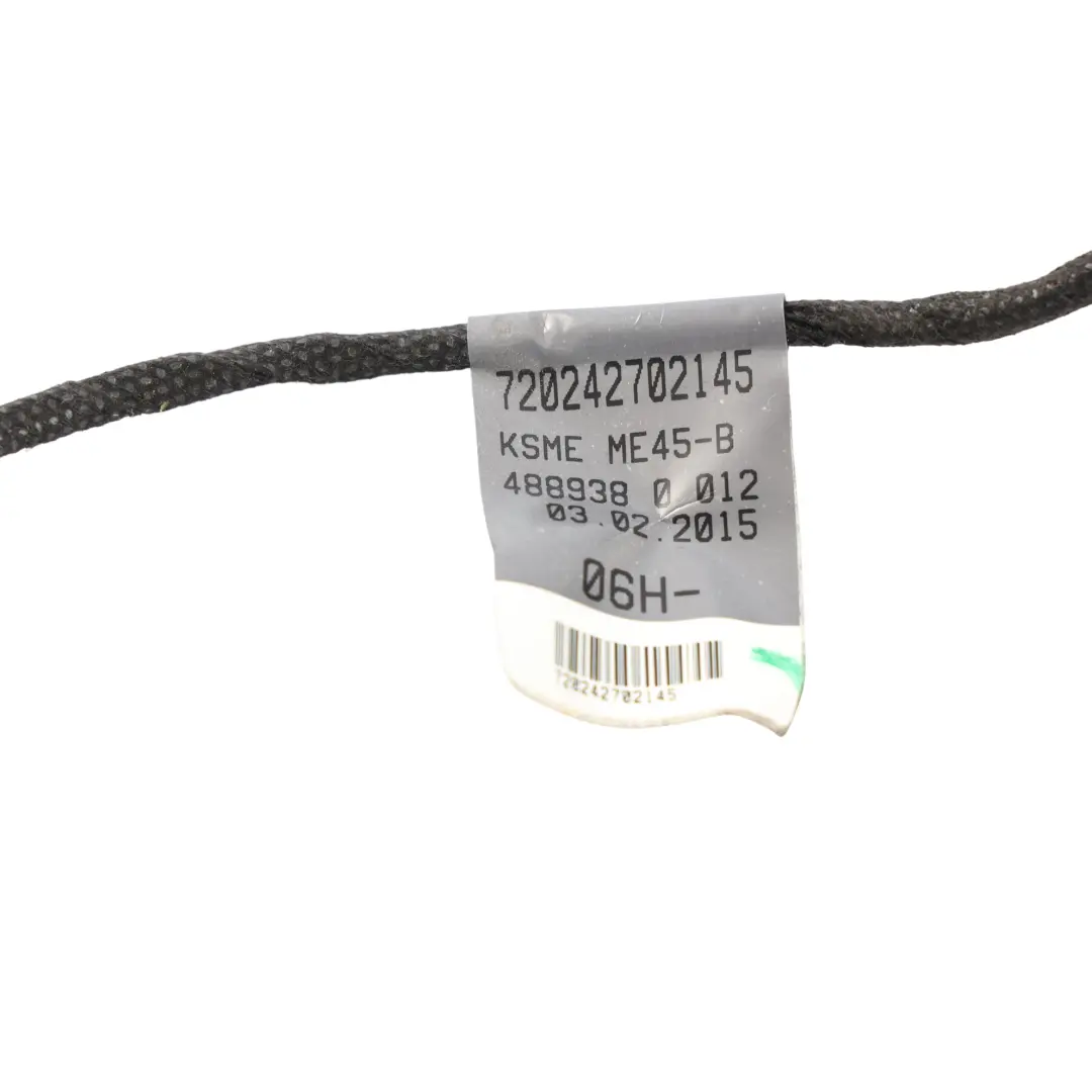 Audi TT FV Tür Kabelbaum Bang Olufsen Vorne Beifahrerseite - SKU 8S0971036H - Teilenummer 8S0971036H