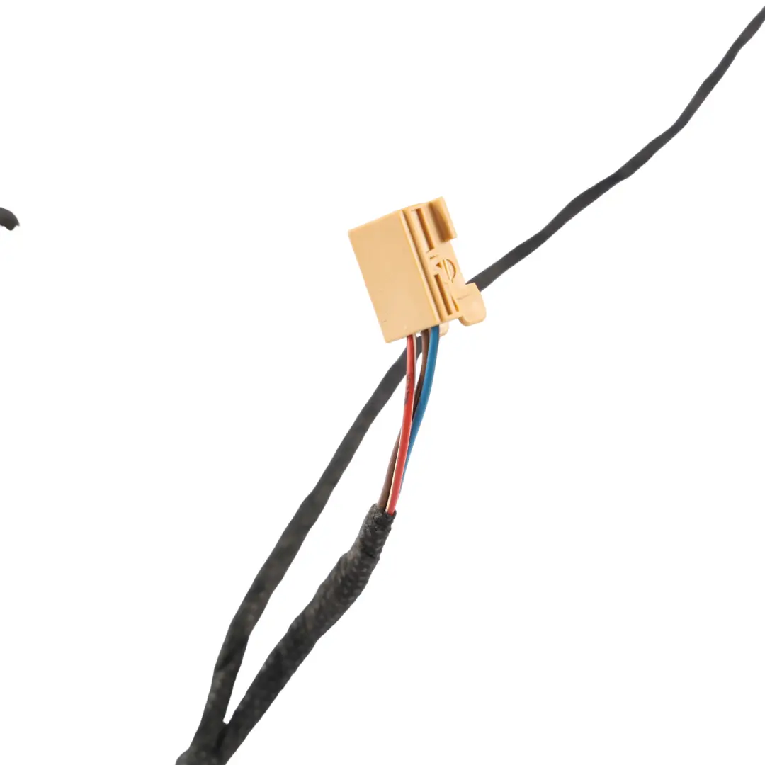 Audi TT FV Cablaggio Porta Bang Olufsen Anteriore Lato Passeggero - SKU 8S0971036H - Numero di parte 8S0971036H
