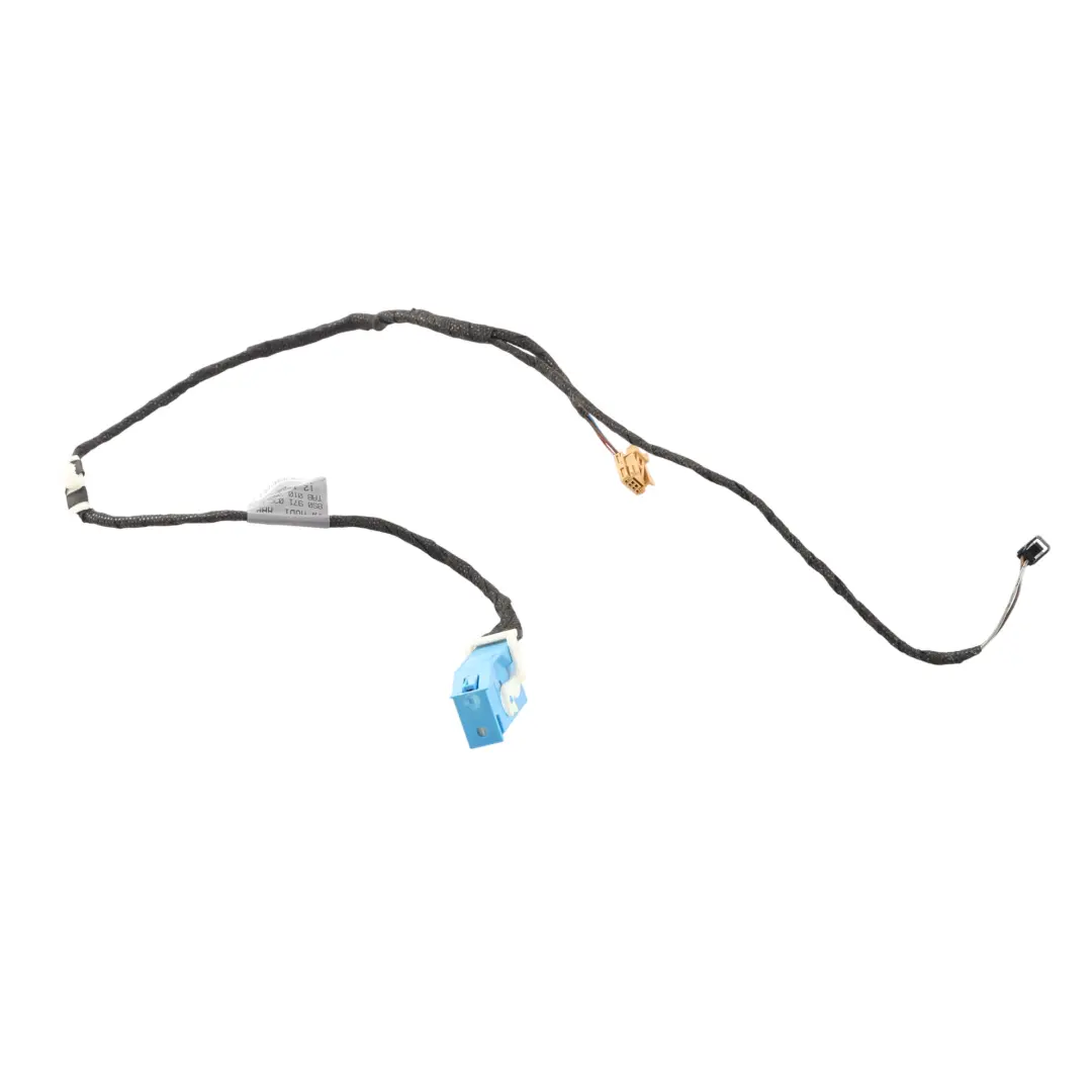 Audi TT FV Mazo Cables Puerta Bang Olufsen Delantero Derecho - SKU 8S0971036H - Número de pieza 8S0971036H