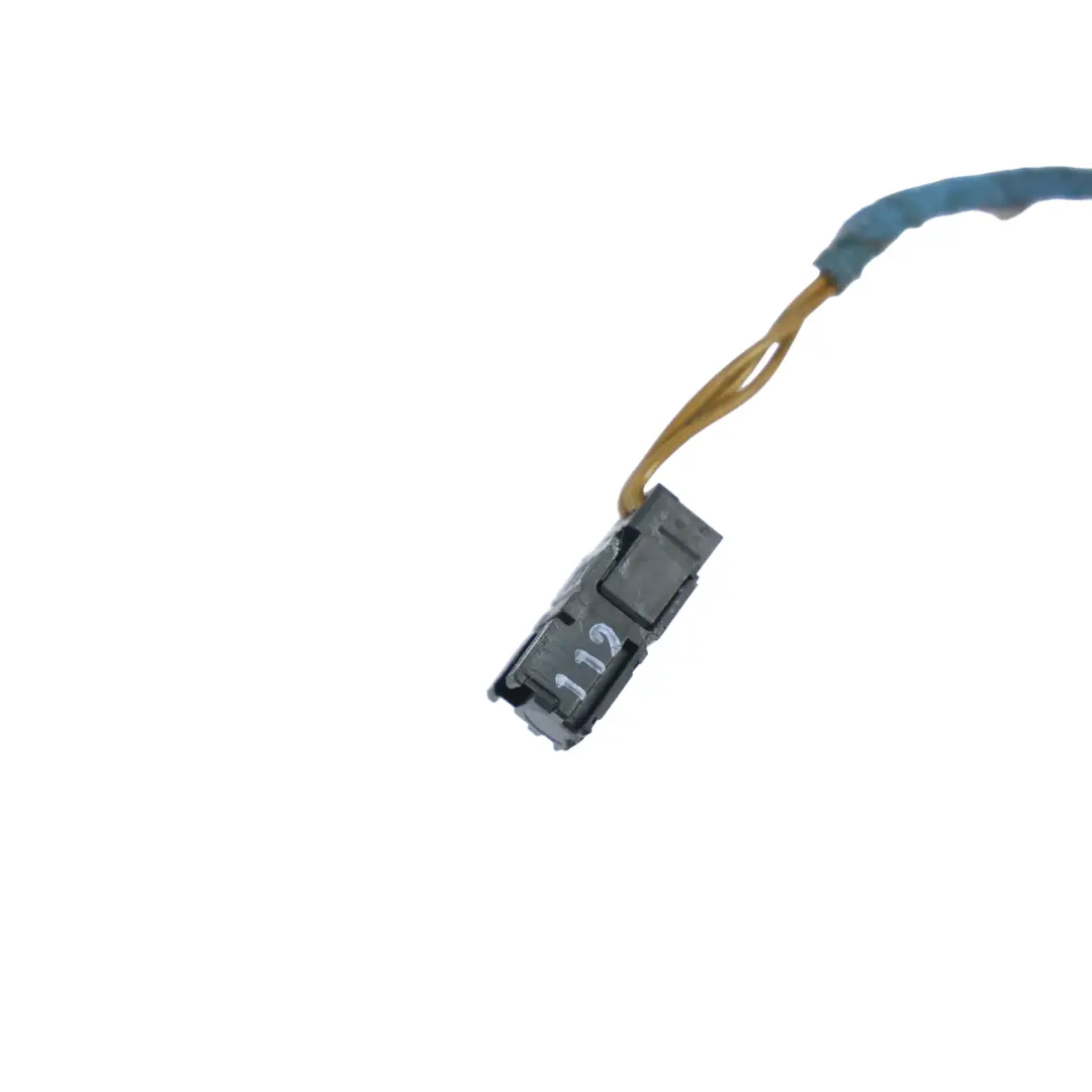 BMW F20 F21 Moduł Sterujący Oświetleniem LED Wnętrza Drzwi - SKU 9237709 - Numer Części 9237709