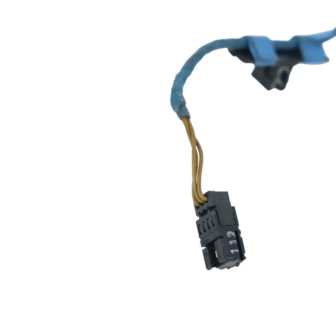 BMW F20 F21 Module Commande LED Éclairage Porte Intérieure - SKU 9237709 - Numéro de pièce 9237709