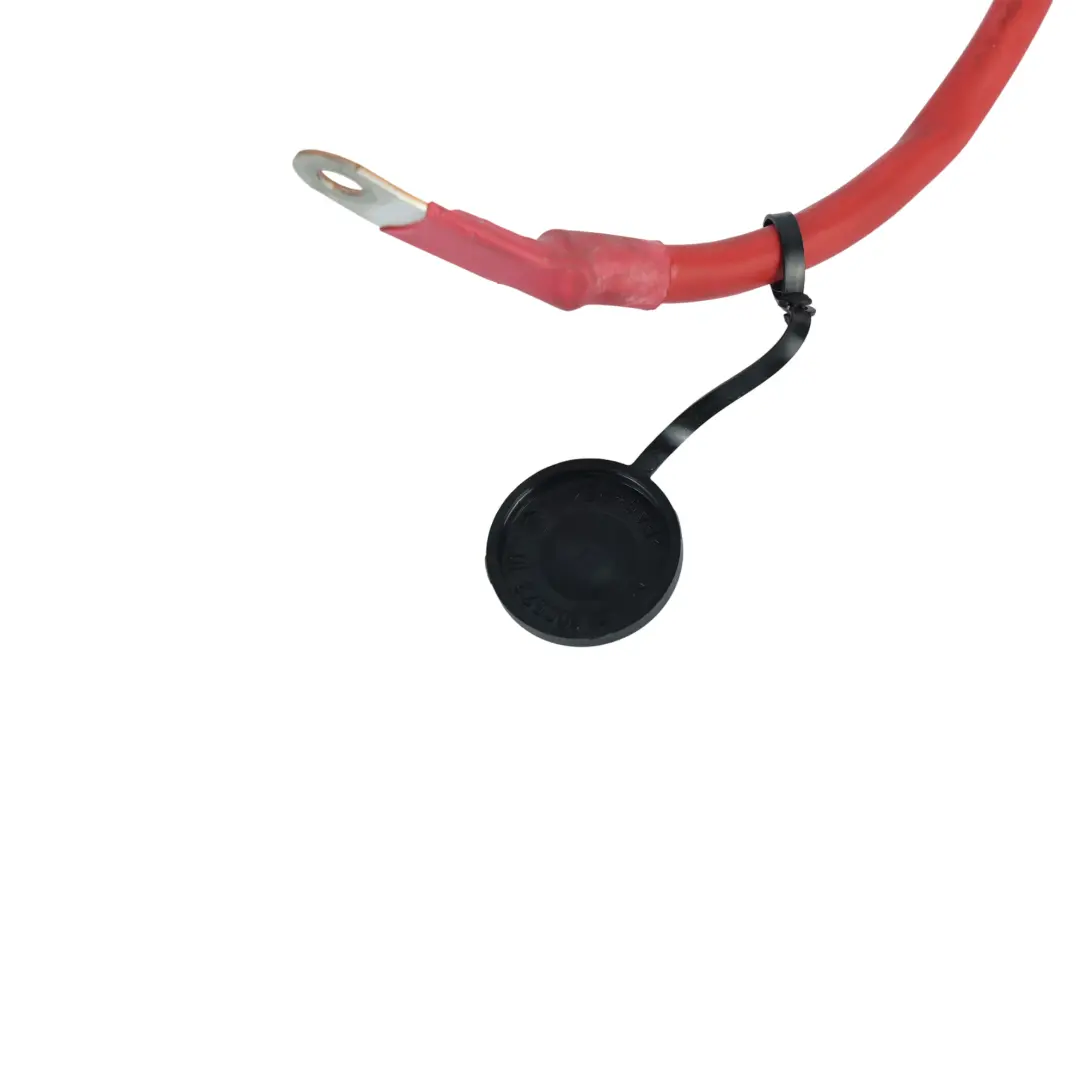 Câble Batterie Positif Pôle Plus pour BMW F30 F31 F80 M3 F82 M4 à propos du numéro de pièce 9259425 BMW F30 F31 F80 M3 F82 M4 Câble Batterie Positif Pôle Plus - SKU 9259425-3 - Numéro de pièce 9259425