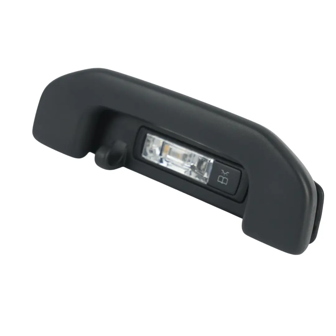  Roof Grab Mercedes W246 W213 Interior Handle Lamp Rear Right O/S A0998150100 - SKU A1668100654-1 - Part number A1668100654
