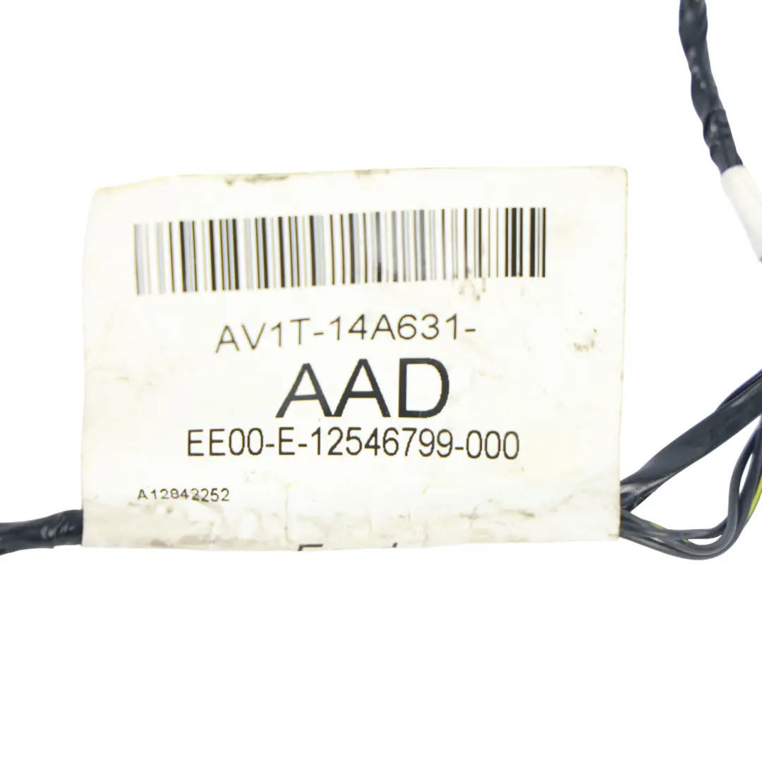Mazo Cables Puerta Delantera Izquierda Derecha para Ford B-Max con número de pieza AV1T-14A631-AAD Ford B-Max Mazo Cables Puerta Delantera Izquierda Derecha - SKU AV1T-14A631-AAD - Número de pieza AV1T-14A631-AAD