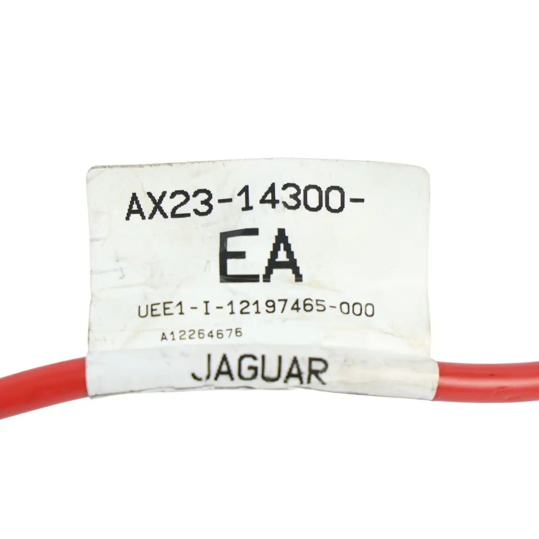 Dodatni Przewód Akumulatora Wiązka Kabli do Jaguar XF X250 o numerze AX23-14300-EA Jaguar XF X250 Dodatni Przewód Akumulatora Wiązka Kabli - SKU AX23-14300-EA - Numer Części AX23-14300-EA
