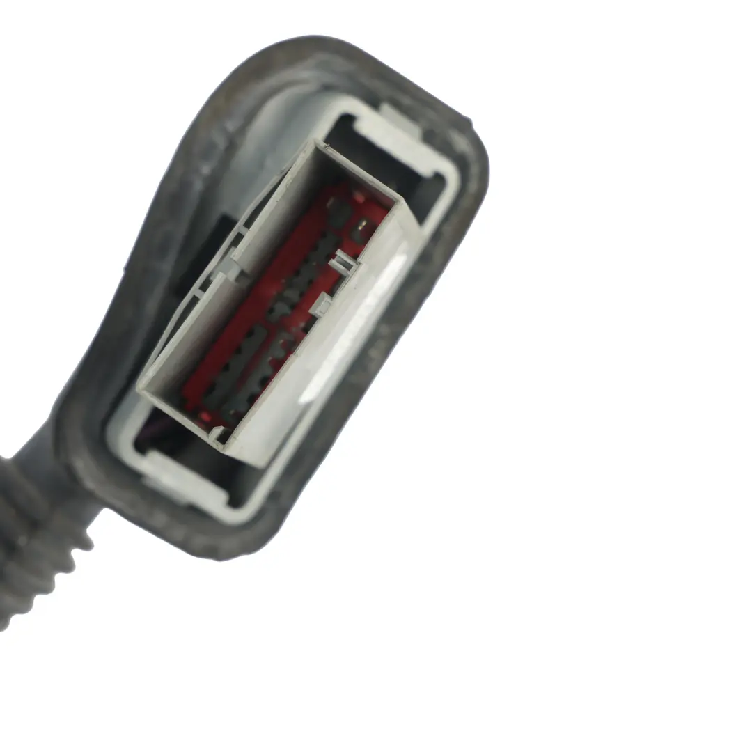 Cableado Puerta Trasera Izquierda para Land Rover Discovery 4 L319 con número de pieza BH22-14633-DA Land Rover Discovery 4 L319 Cableado Puerta Trasera Izquierda - SKU BH22-14633-DA - Número de pieza BH22-14633-DA
