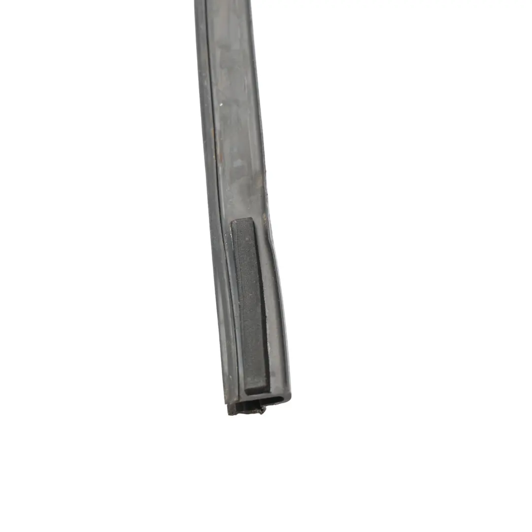 Jaguar X-Type Front Window Run Channel Seal Passenger Door Left N/S - SKU C2S34473 - Part number C2S34473