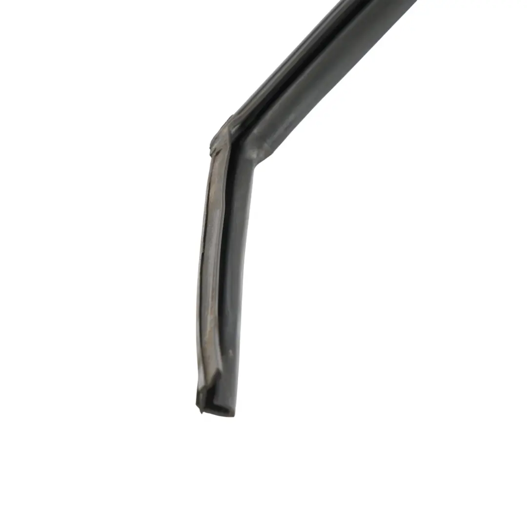 Jaguar X-Type Front Window Run Channel Seal Passenger Door Left N/S - SKU C2S34473 - Part number C2S34473
