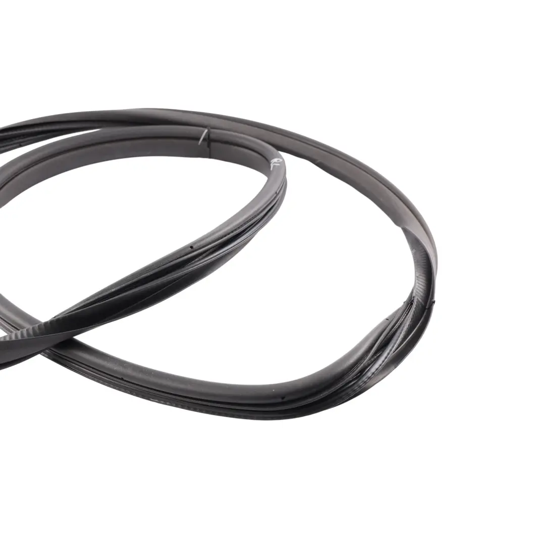 Jaguar X-Type X400 Saloon Rear Door Aperture Seal Left Right N/O/S - SKU C2S42753 - Part number C2S42753
