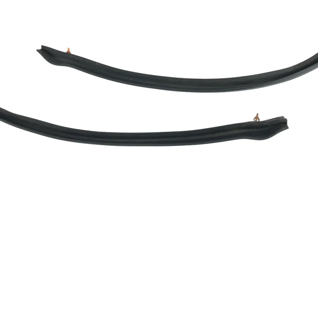 Junta Goma Capó Delantero Tira Motor para Jaguar XF X250 con número de pieza C2Z12100 Jaguar XF X250 Junta Goma Capó Delantero Tira Motor - SKU C2Z12100 - Número de pieza C2Z12100