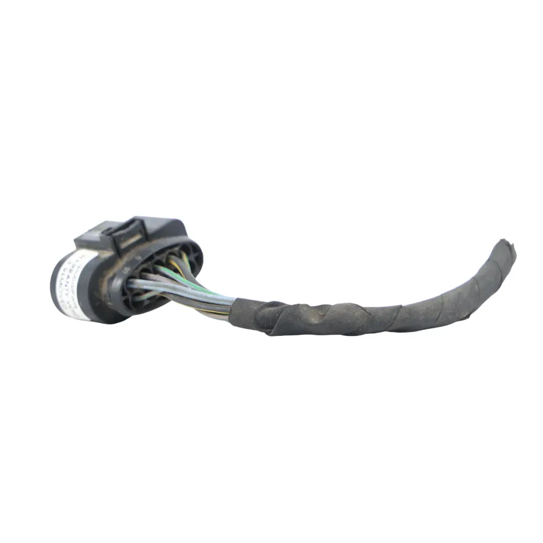 Ford Transit Mk8 Scheinwerfer Stecker Buchse Kabel Vorne Links - SKU GK31-13W030-AB-2 - Teilenummer GK31-13W030-AB
