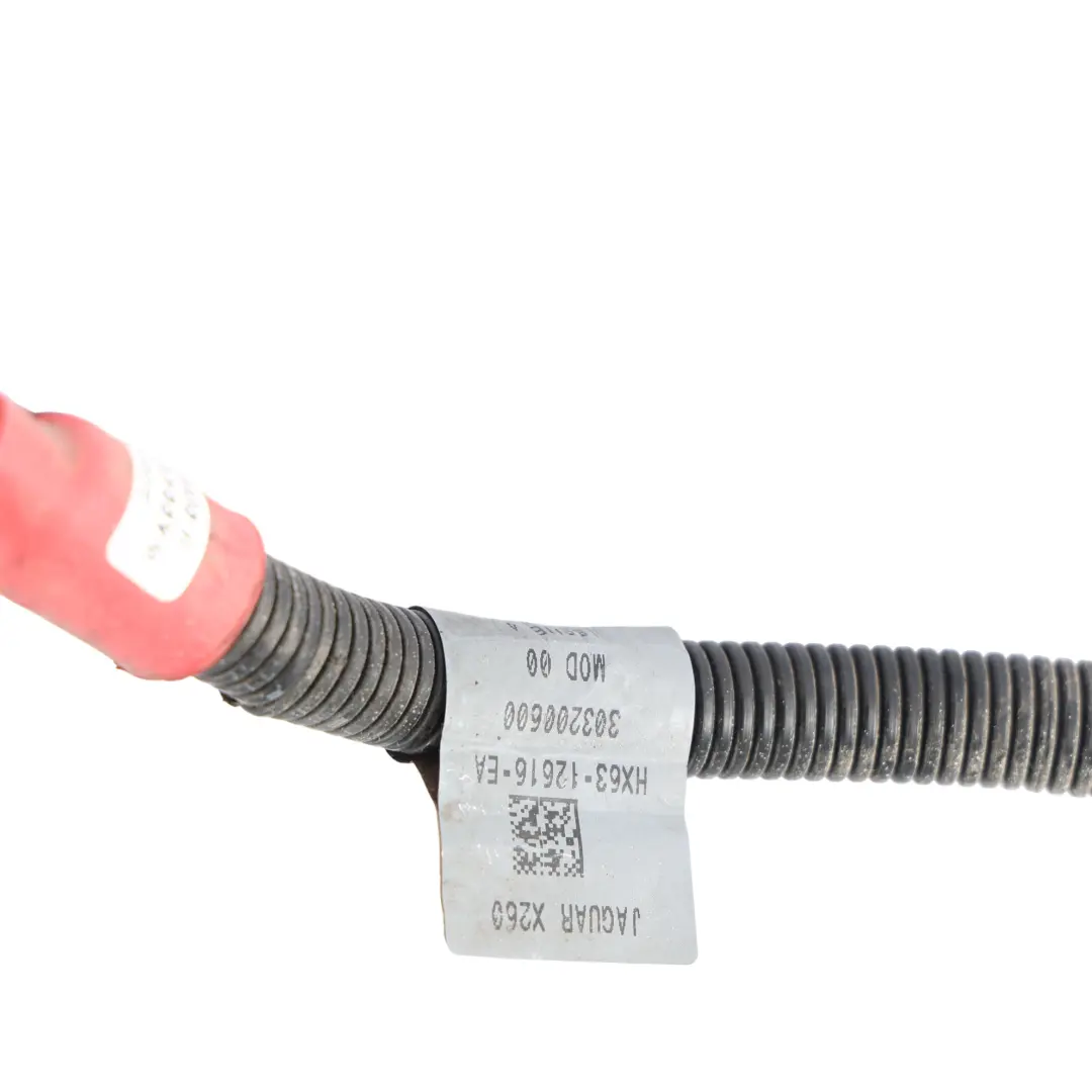Câble Batterie Positif Faisceau Câblage HX63-12616-EA pour Jaguar XF X260 à propos du numéro de pièce HK63-12616-EA Jaguar XF X260 Câble Batterie Positif Faisceau Câblage HX63-12616-EA - SKU HK63-12616-EA - Numéro de pièce HK63-12616-EA