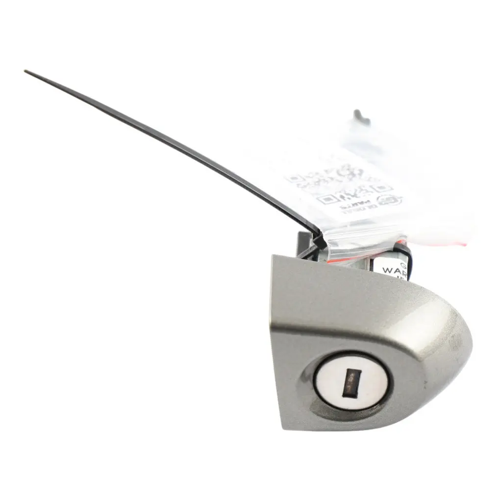 Door Handle Cylinder Cover Front Right O/S Platinsilber Metallic - C08 to BMW F20 with Part number 0399168 BMW F20 Door Handle Cylinder Cover Front Right O/S Platinsilber Metallic - C08 - SKU RHD-0399168-PSM - Part number 0399168