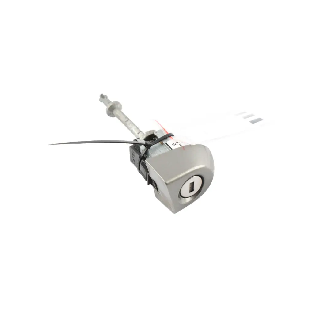 BMW F20 Door Handle Cylinder Cover Front Right O/S Platinsilber Metallic - C08 - SKU RHD-0399168-PSM - Part number 0399168