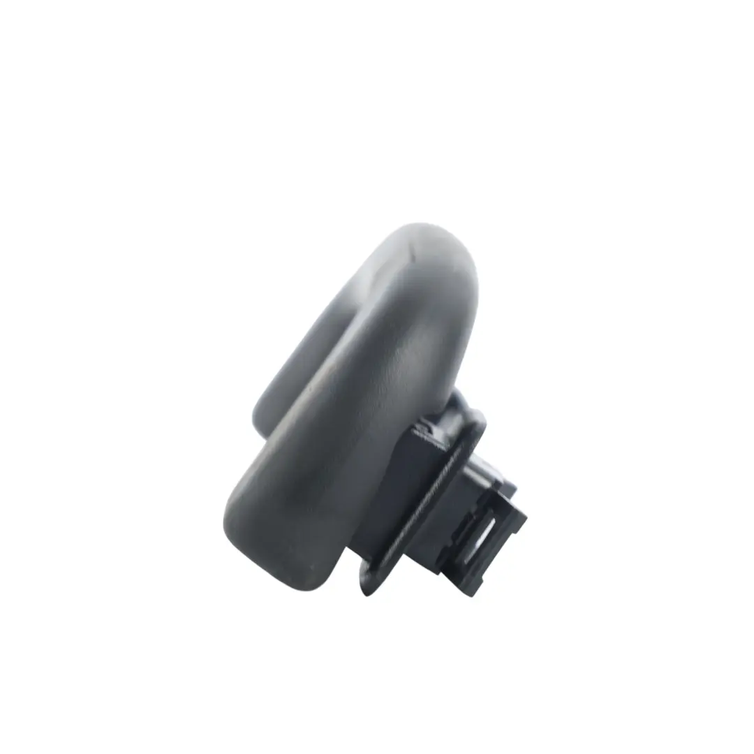 Jaguar XF X260 F-Pace X761 XE X760 Grab Front Left Right N/O/S - SKU T2H24666PVJ - Part number T2H24666PVJ