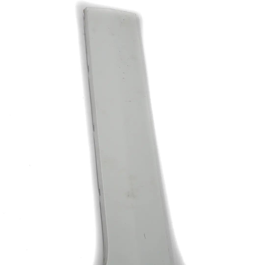 Left Door Outside Moulding Frozen White - Z2 Ford Connect Transit Rear - SKU 2031782-FW - Part number 2031782