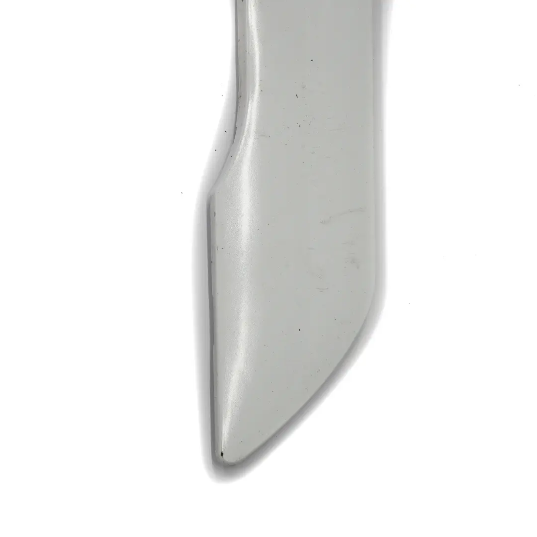 Modanatura esterna porta anteriore destra bianco ghiaccio per Ford Connect Transit con numero di parte 2031784 Ford Connect Transit Modanatura esterna porta anteriore destra bianco ghiaccio - SKU 2031784-FW - Numero di parte 2031784