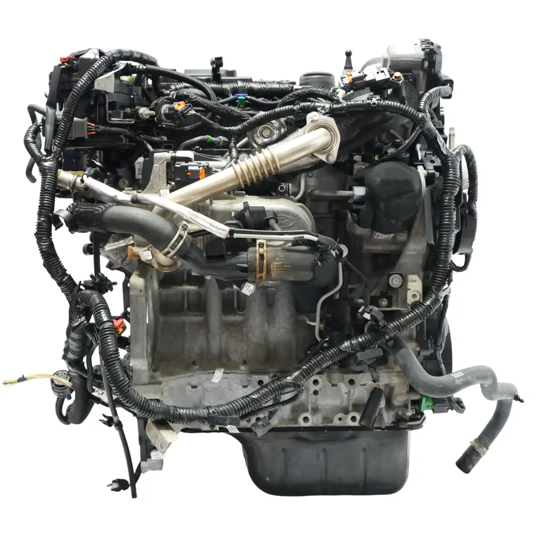 MK2 Kompletter Motor XVGA XVGB XVGC 1.5 TDCi 100PS GARANTIE für Ford Transit Connect mit Teilenummer 2039109 Ford Transit Connect MK2 Kompletter Motor XVGA XVGB XVGC 1.5 TDCi 100PS GARANTIE - SKU 2039109-1 - Teilenummer 2039109