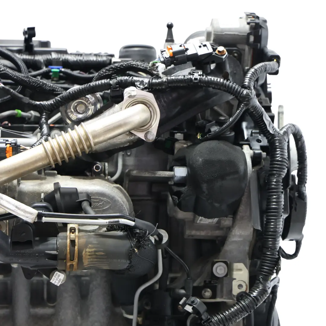 Ford Transit Connect MK2 Moteur Complet XVGA XVGB XVGC 1.5 TDCi 100CV GARANTIE - SKU 2039109-1 - Numéro de pièce 2039109