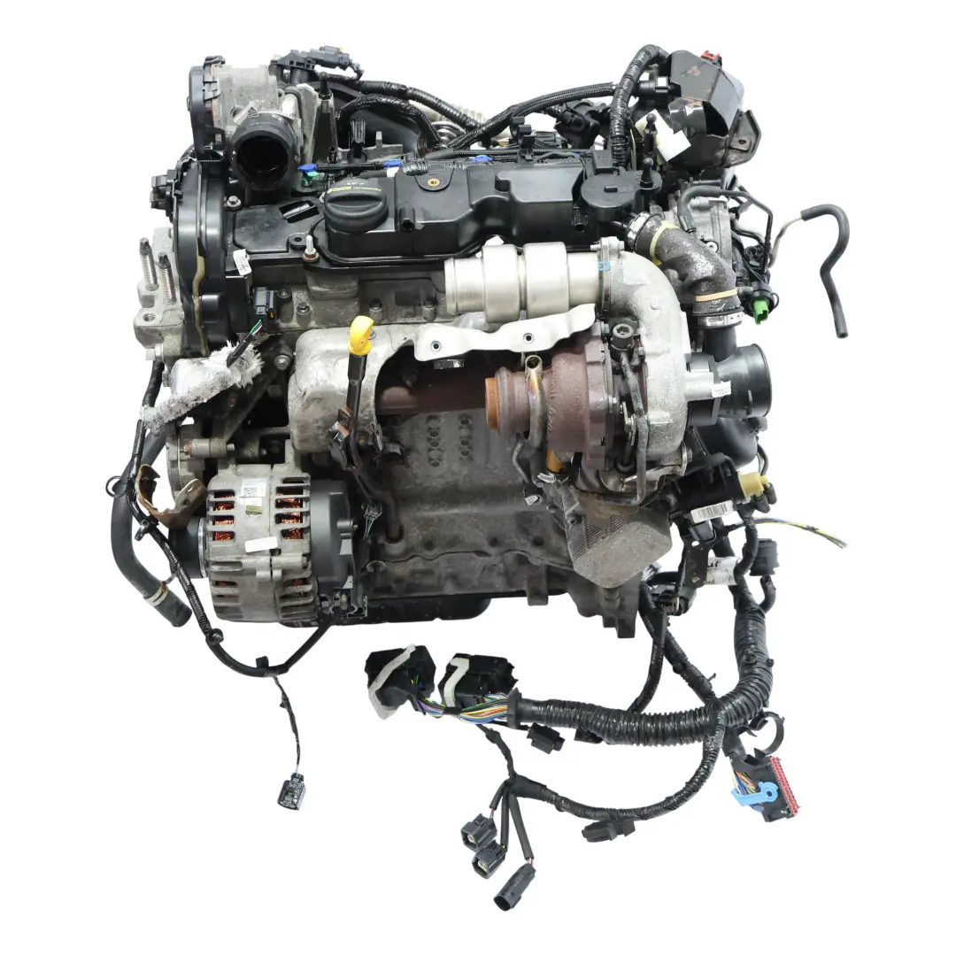 MK2 Motore Completo XVGA XVGB XVGC 1.5 TDCi 100HP GARANZIA per Ford Transit Connect con numero di parte 2039109 Ford Transit Connect MK2 Motore Completo XVGA XVGB XVGC 1.5 TDCi 100HP GARANZIA - SKU 2039109-1 - Numero di parte 2039109