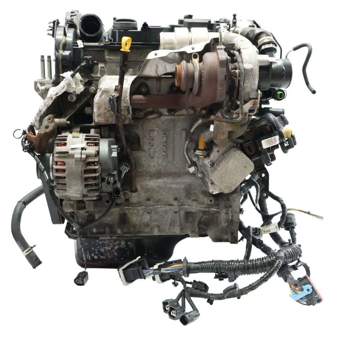 MK2 Kompletter Motor XVGA XVGB XVGC 1.5 TDCi 100PS GARANTIE für Ford Transit Connect mit Teilenummer 2039109 Ford Transit Connect MK2 Kompletter Motor XVGA XVGB XVGC 1.5 TDCi 100PS GARANTIE - SKU 2039109-1 - Teilenummer 2039109