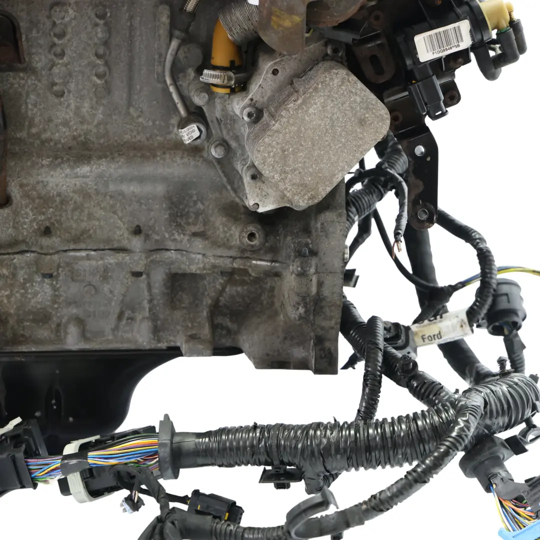 MK2 Motore Nudo XVGA XVGB XVGC 1.5 TDCi 100HP 159k GARANZIA per Ford Transit Connect con numero di parte 2039109 Ford Transit Connect MK2 Motore Nudo XVGA XVGB XVGC 1.5 TDCi 100HP 159k GARANZIA - SKU 2039109 - Numero di parte 2039109