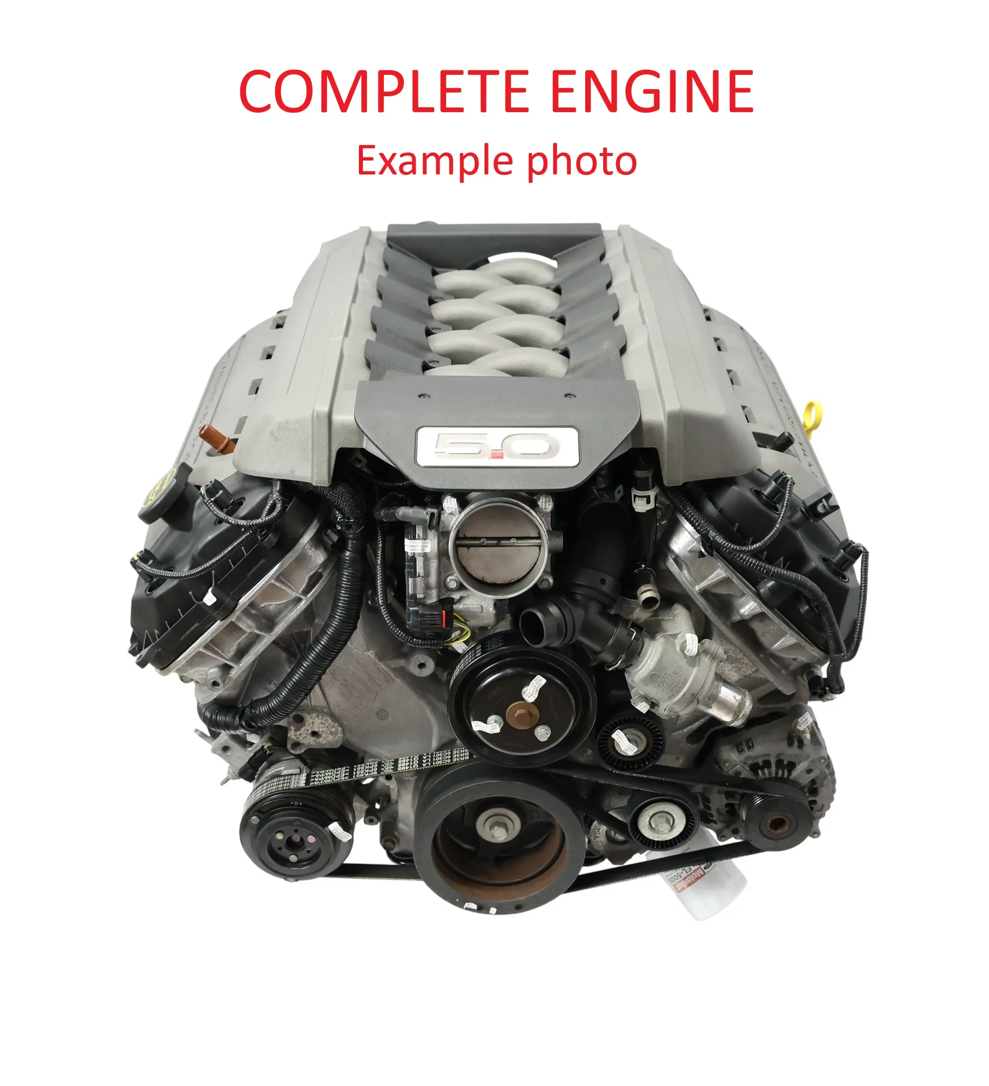 Ford Mustang VI MK6 GT Unkomplett Motor 5.0 Coyote S550 MF8F 45TKM, GARANTIE