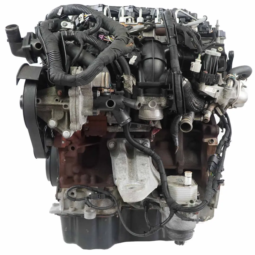 Kompletter Motor T22DD0P 100PS 159 000 km, GARANTIE für Ford Transit 2.2 TDCI RWD mit Teilenummer 2096240 Ford Transit 2.2 TDCI RWD Kompletter Motor T22DD0P 100PS 159 000 km, GARANTIE - SKU 2096240-1 - Teilenummer 2096240