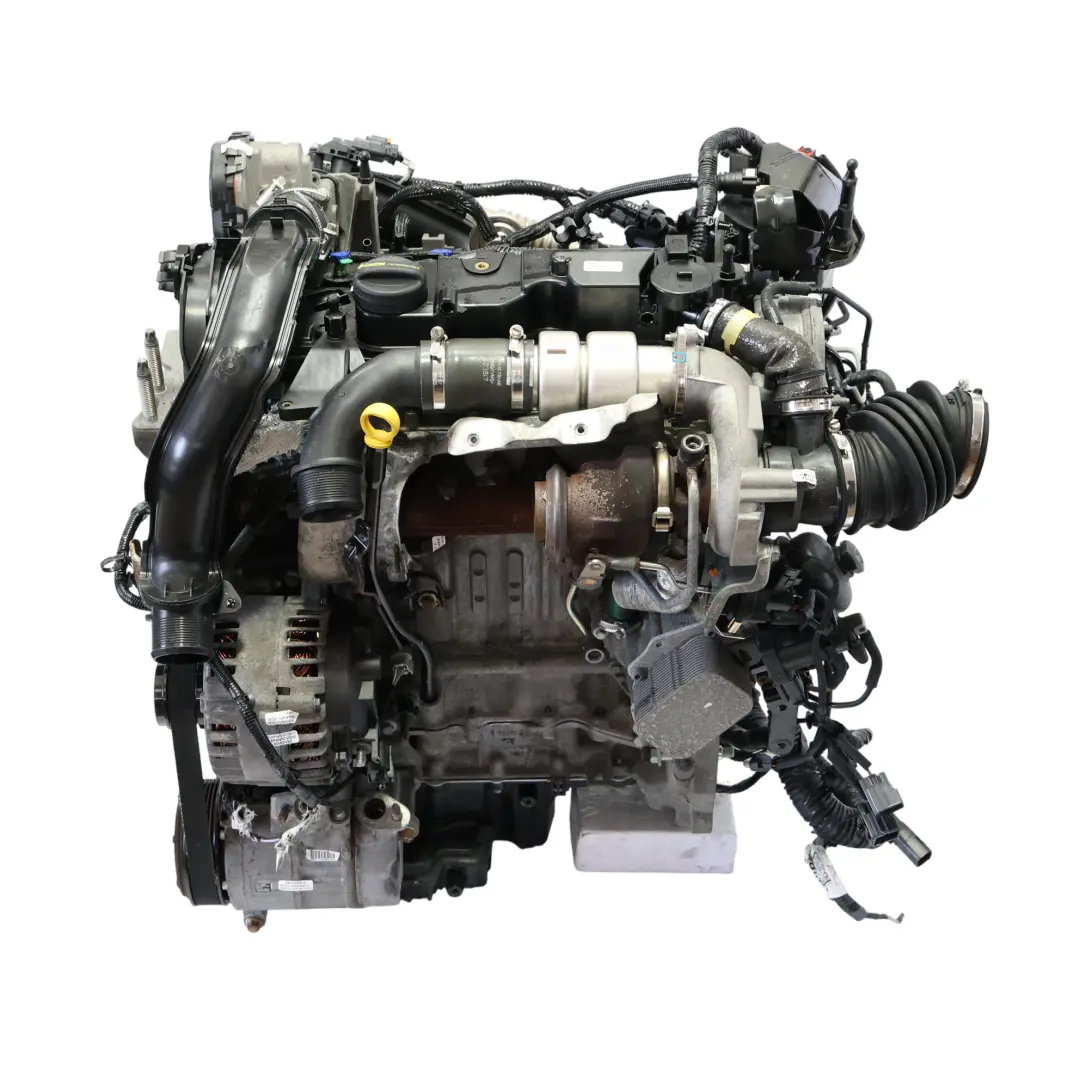Mk2 1.5 SOHC Motore Completo DV5FD B 100HP 149k, GARANZIA per Ford Transit Connect con numero di parte 2107853 Ford Transit Connect Mk2 1.5 SOHC Motore Completo DV5FD B 100HP 149k, GARANZIA - SKU 2107853-1 - Numero di parte 2107853