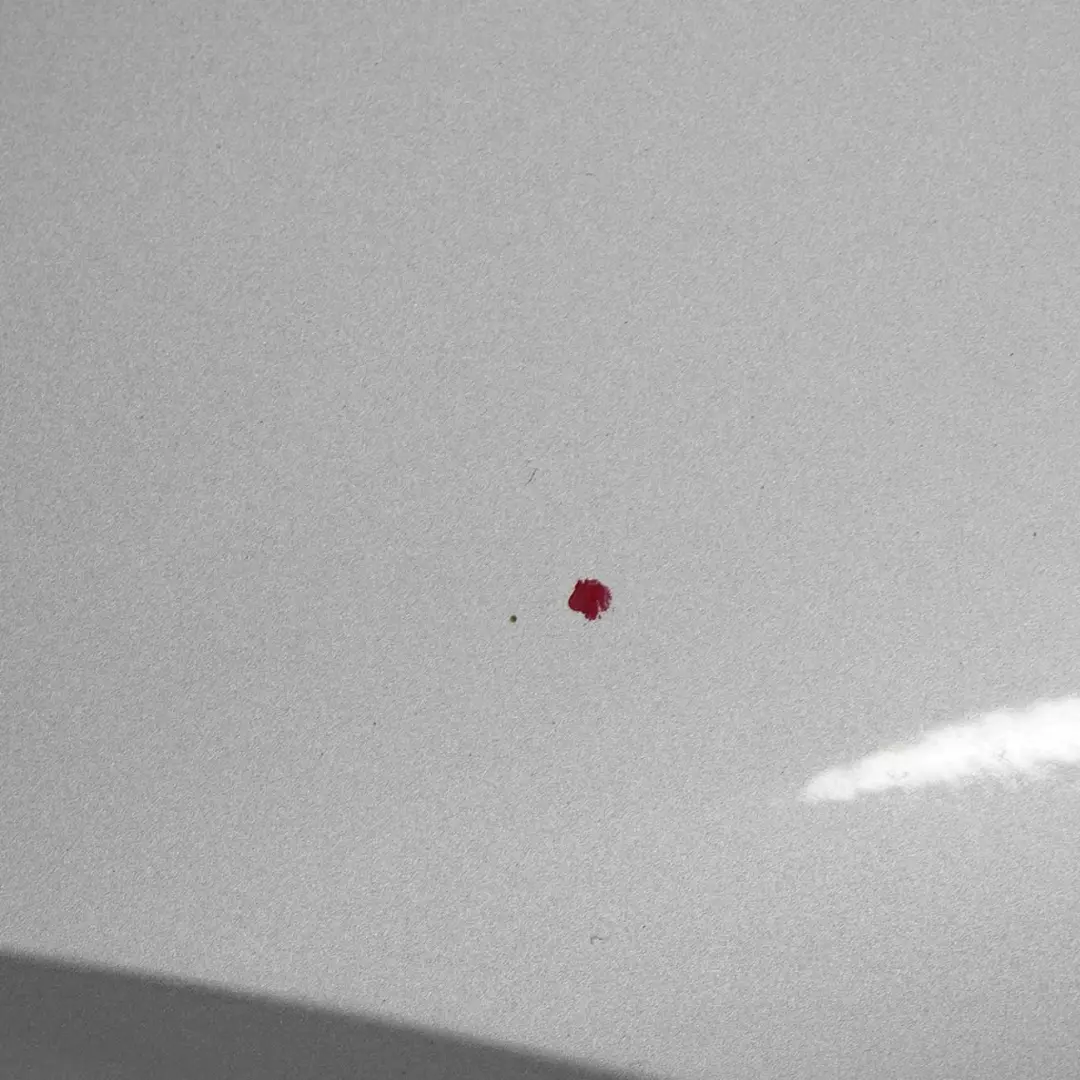 Panel Lateral Guardabarros Wing Delantero Izquierdo Titansilber - 354 para BMW E92 con número de pieza 2155919 BMW E92 Panel Lateral Guardabarros Wing Delantero Izquierdo Titansilber - 354 - SKU 2155919-TS8 - Número de pieza 2155919