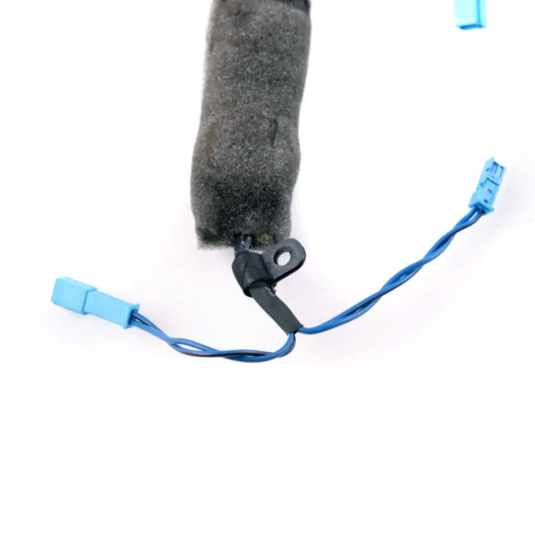 BMW E92 Filtre De Fréquence De Haut-Parleur De Milieu De Gamme - SKU 2163808 - Numéro de pièce 2163808