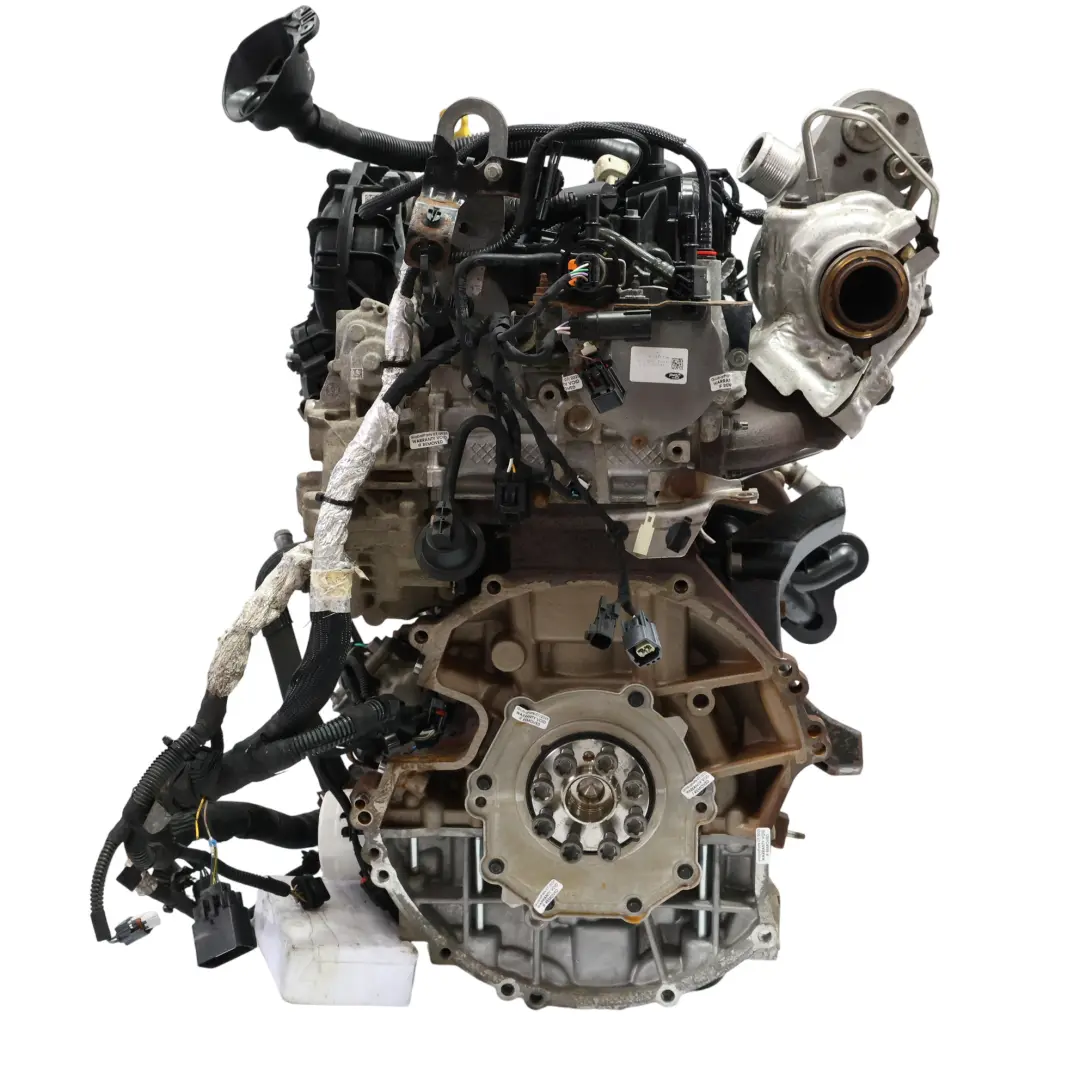 Kompletter Motor YMF6 2.0 Ecoblue 130PS 109TKM, GARANTIE für Ford Transit Custom I mit Teilenummer 2275738 Ford Transit Custom I Kompletter Motor YMF6 2.0 Ecoblue 130PS 109TKM, GARANTIE - SKU 2275738-1 - Teilenummer 2275738