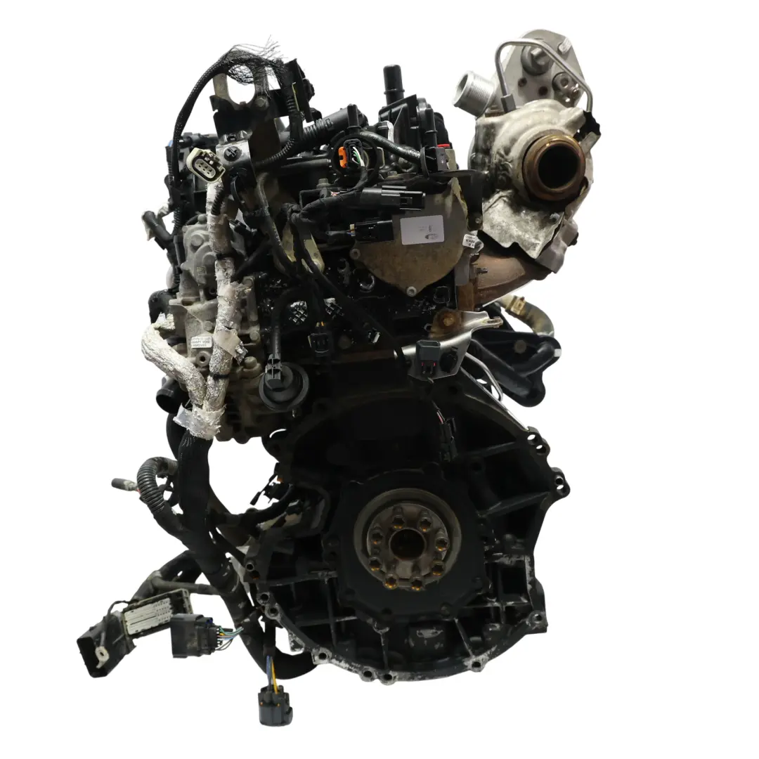 Mk8 Motore Completo YNR6 2.0 Ecoblue 170HP 79 000 km, GARANZIA per Ford Transit con numero di parte 2275745 Ford Transit Mk8 Motore Completo YNR6 2.0 Ecoblue 170HP 79 000 km, GARANZIA - SKU 2275745-1 - Numero di parte 2275745