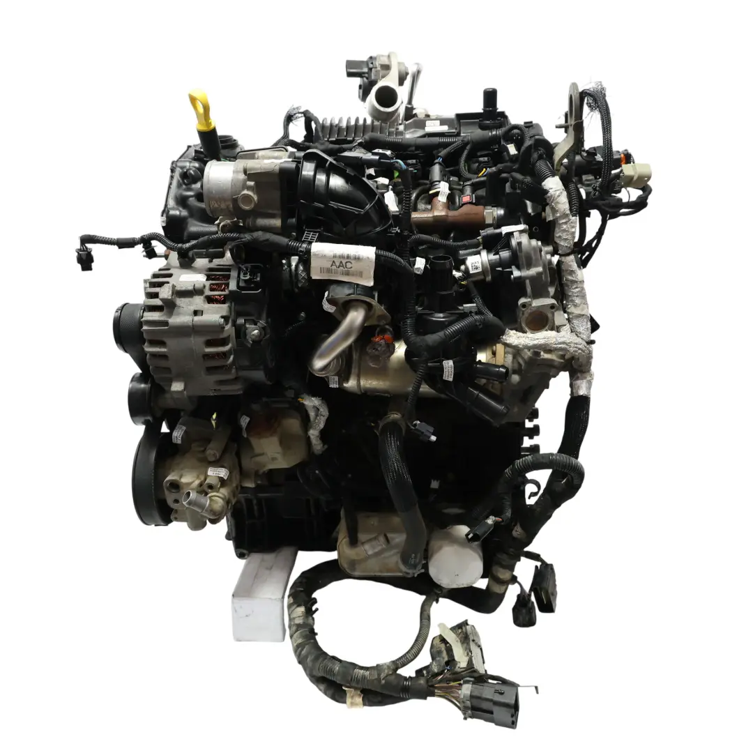 Mk8 Kompletter Motor YNR6 2.0 Ecoblue 170PS 79TKM, GARANTIE für Ford Transit mit Teilenummer 2275745 Ford Transit Mk8 Kompletter Motor YNR6 2.0 Ecoblue 170PS 79TKM, GARANTIE - SKU 2275745-1 - Teilenummer 2275745