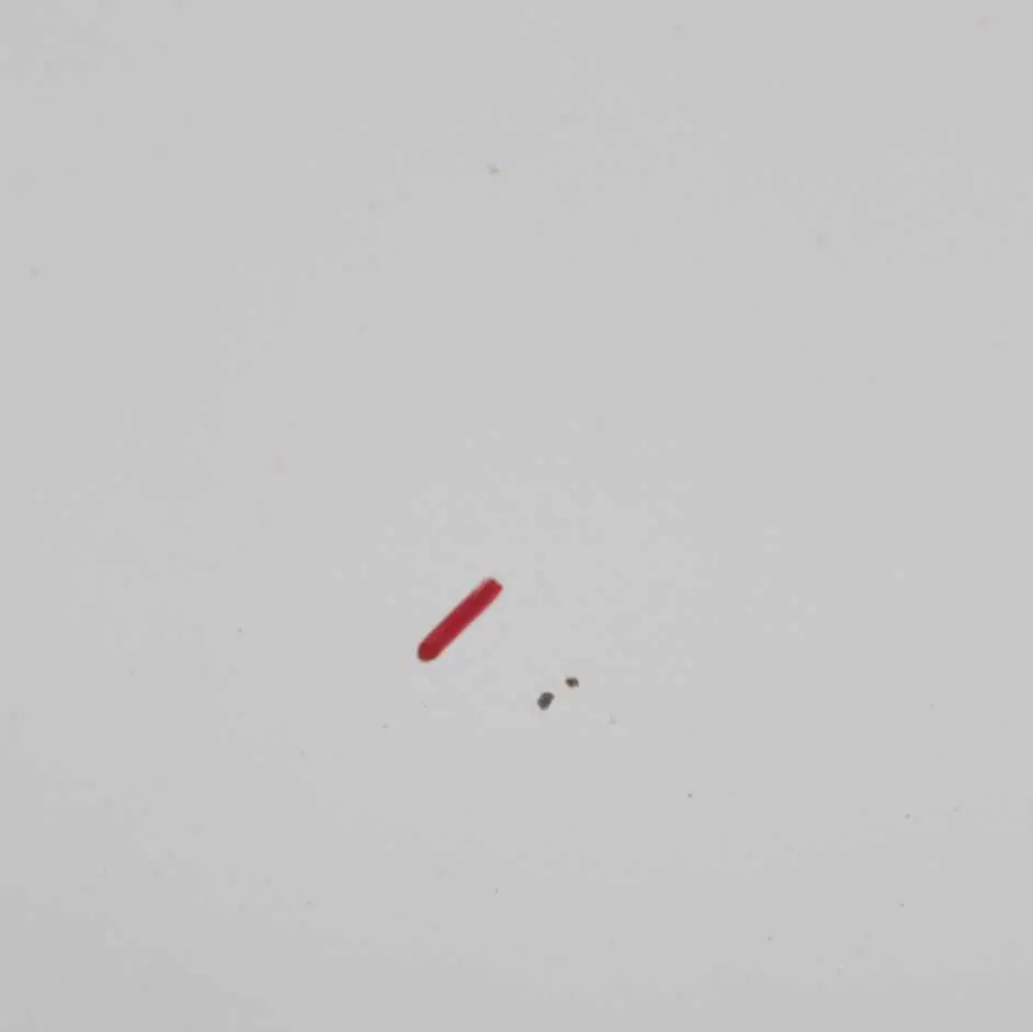 Hood Bonnet Trim Covering Panel Frozen White - Z2 to Ford Transit with Part number 2454107 Ford Transit Hood Bonnet Trim Covering Panel Frozen White - Z2 - SKU 2454107-FW1 - Part number 2454107